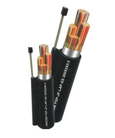 Copper telecommunication aerial figure 8 aerial cable (FSP-JF-LAP-SS)